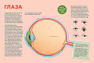 Your body. How it works and changes