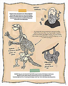 Камни и кости. Окаменелости и истории, которые они рассказывают