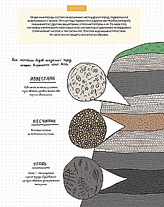 Камни и кости. Окаменелости и истории, которые они рассказывают