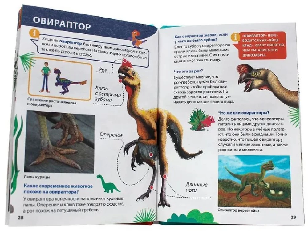 Encyclopedia for little whys. Dinosaurs