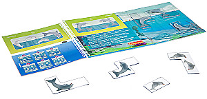 Magnetic travel game Dolphins