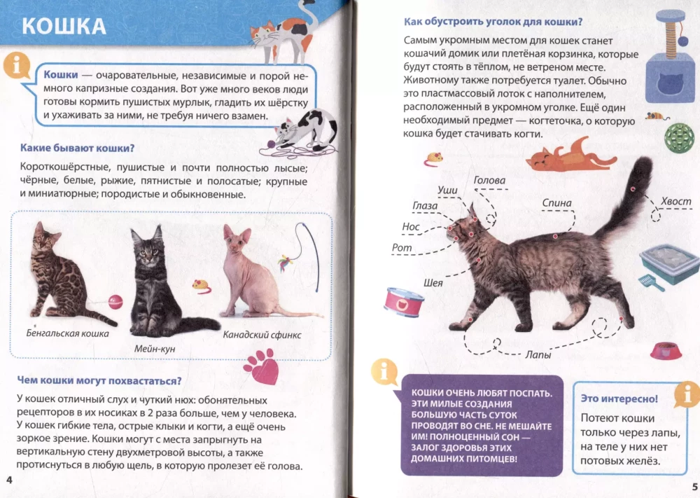 Encyclopedia for little whys. Pets