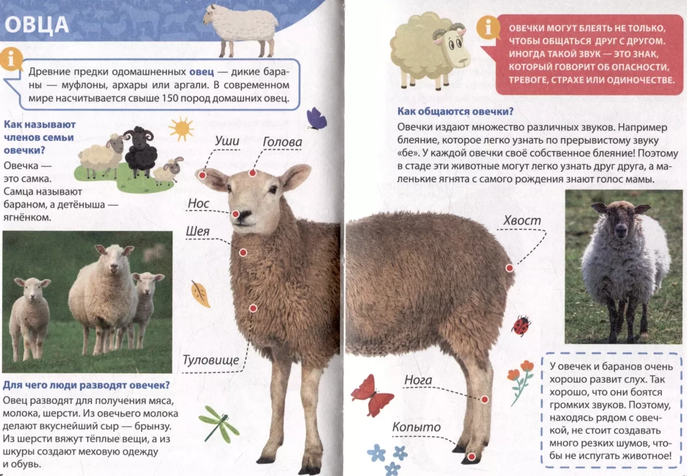 Encyclopedia for little whys. Farm animals