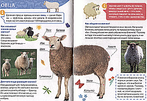 Энциклопедия для маленьких почемучек. Животные фермы