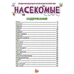 Энциклопедия для маленьких почемучек. Насекомые