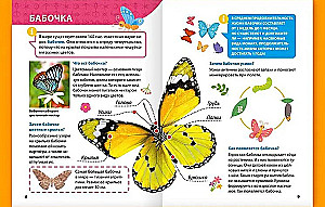 Encyclopedia for little whys. Insects