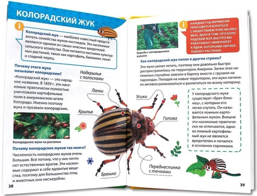 Encyclopedia for little whys. Insects