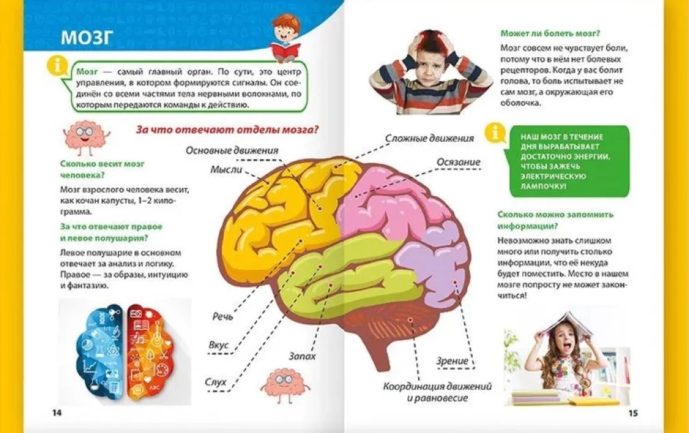 Encyclopedia for little whys. The human body