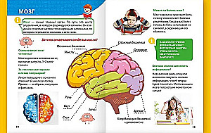 Encyclopedia for little whys. The human body