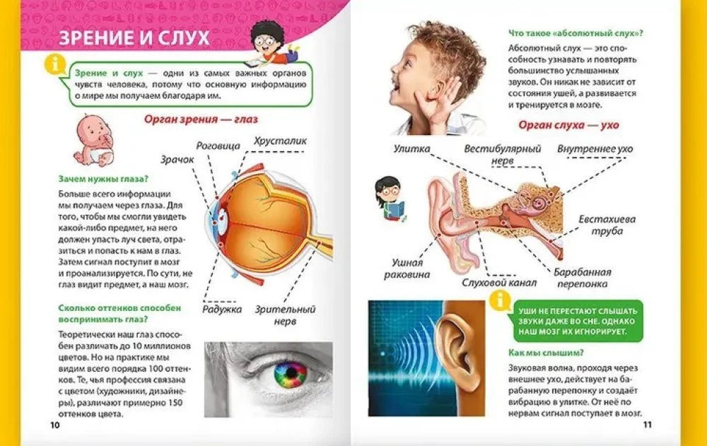 Encyclopedia for little whys. The human body