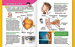 Encyclopedia for little whys. The human body