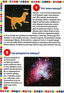 Children's encyclopedia for reasons about everything in the world. 111 answers to the most interesting questions