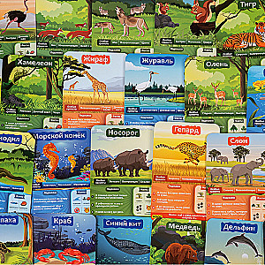 Board game 10 questions for children. Animal world