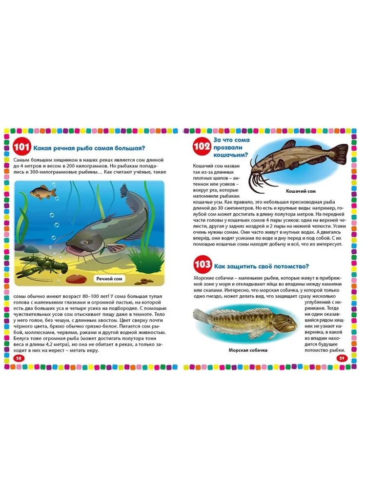 Undersea world. Encyclopedia for children from 5 to 9 years old. 111 answers to why questions