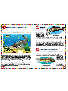 Undersea world. Encyclopedia for children from 5 to 9 years old. 111 answers to why questions