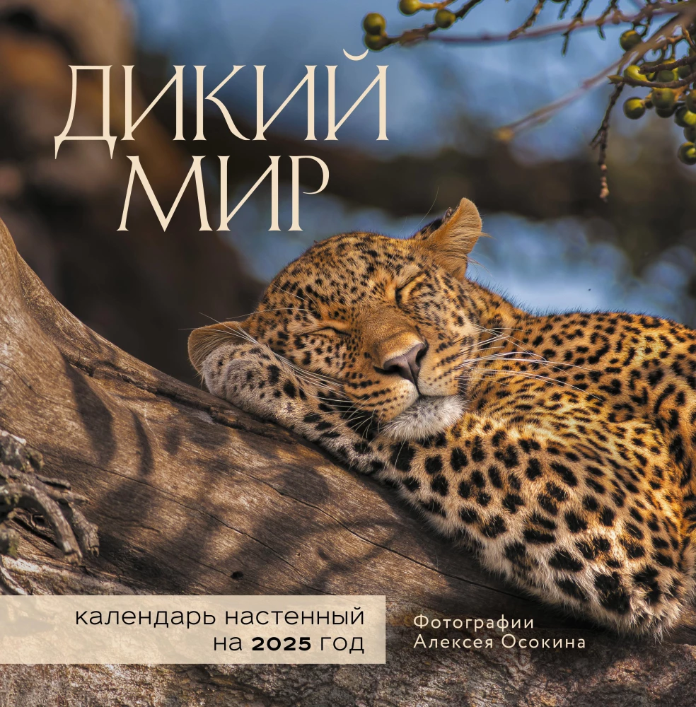 Wall calendar for 2025 Wild World