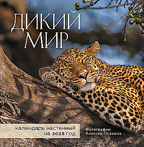 Wall calendar for 2025 Wild World