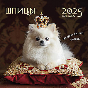 Wall calendar Spitz for 2025