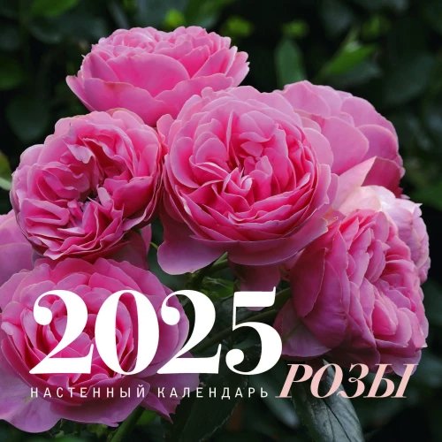 Roses. Wall calendar for 2025