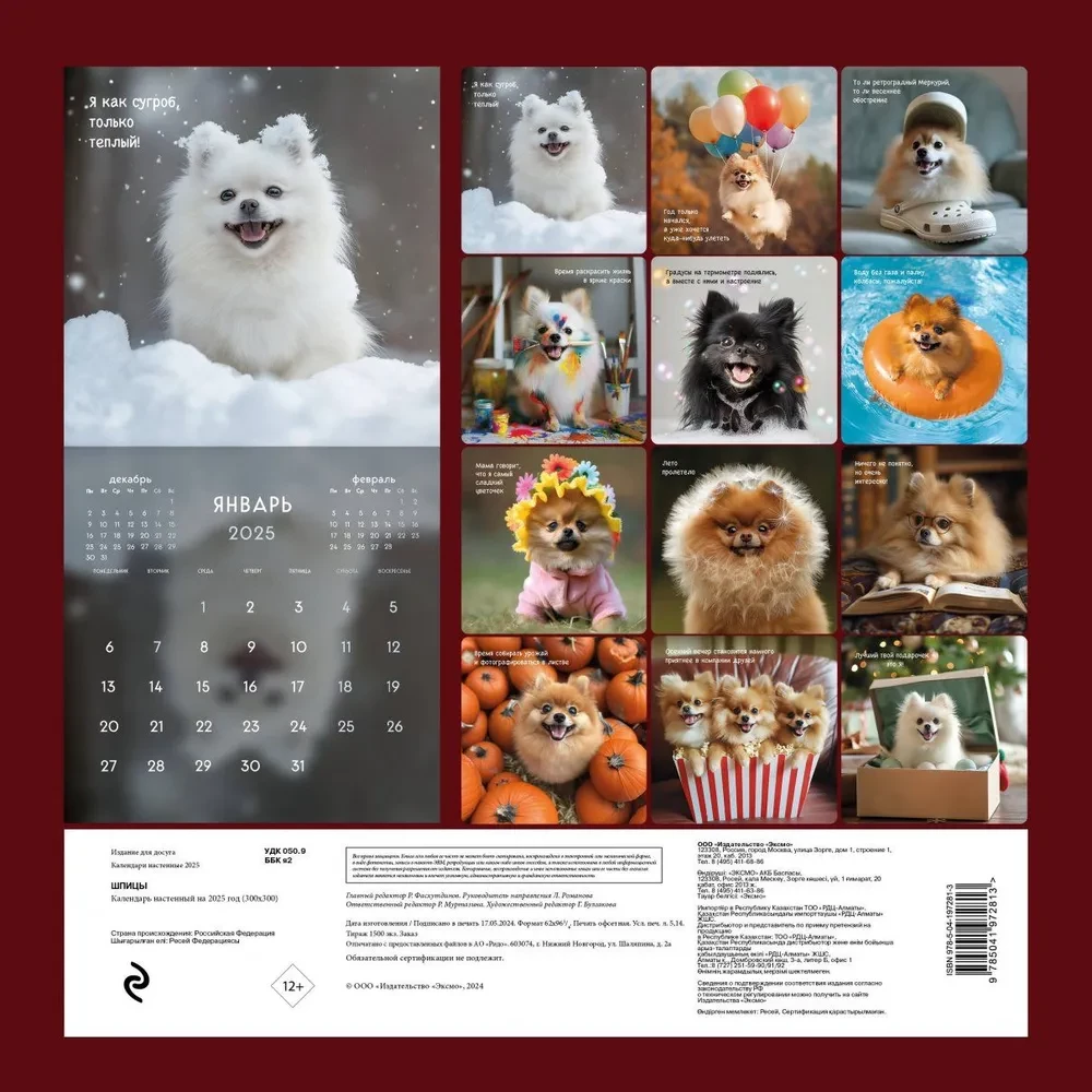 Wall calendar Spitz for 2025