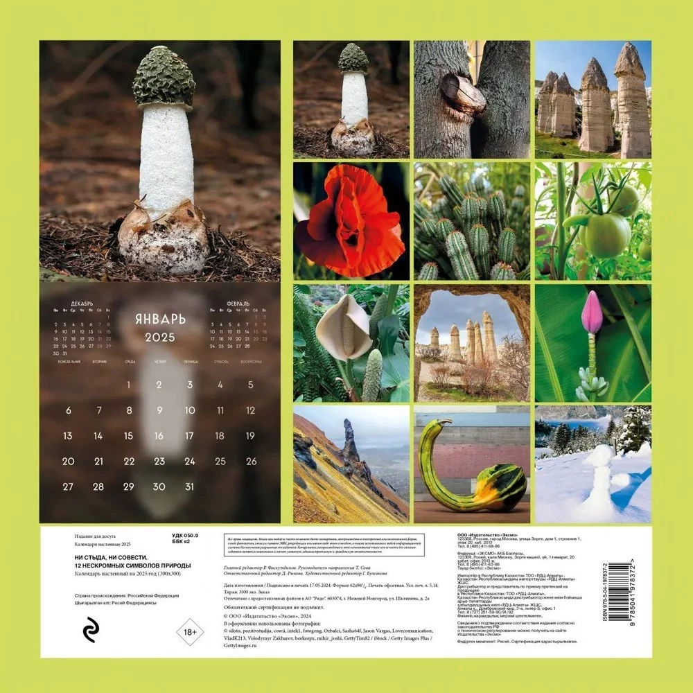 Wall calendar No shame, no conscience. 12 immodest symbols of nature for 2025