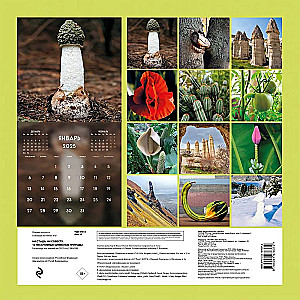 Wall calendar No shame, no conscience. 12 immodest symbols of nature for 2025