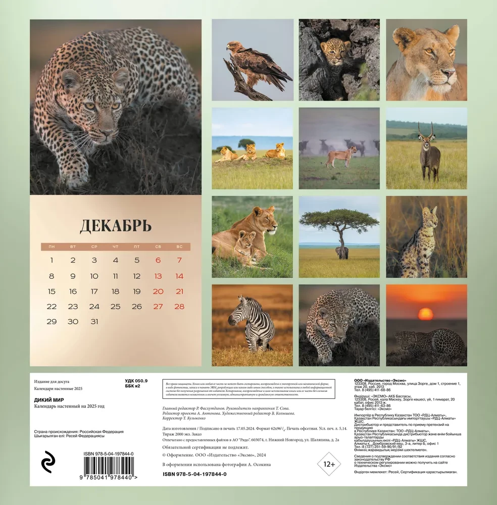 Wall calendar for 2025 Wild World