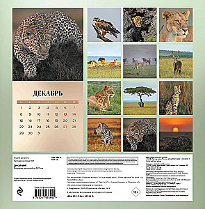 Wall calendar for 2025 Wild World