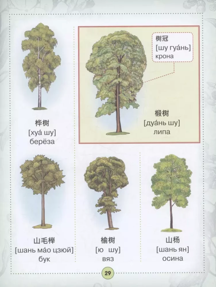 Chinese-Russian visual dictionary for children