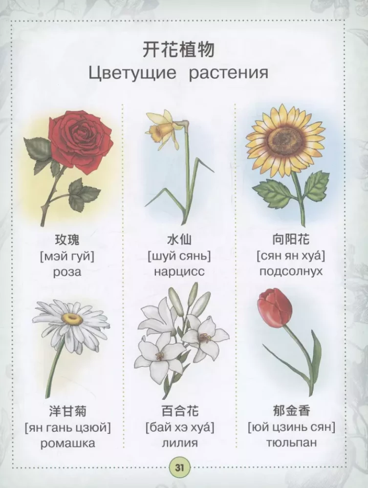 Chinese-Russian visual dictionary for children