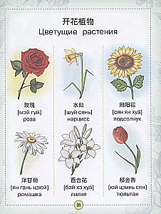 Chinese-Russian visual dictionary for children