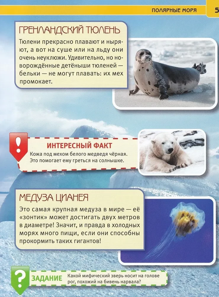 Animals of Russia. Encyclopedia with developmental tasks