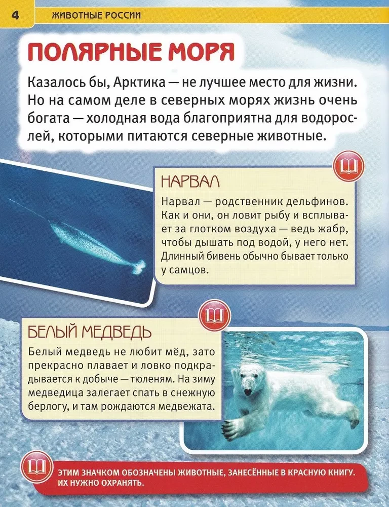 Animals of Russia. Encyclopedia with developmental tasks