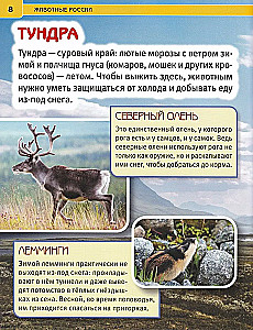 Animals of Russia. Encyclopedia with developmental tasks