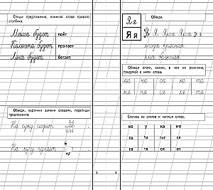 Reading and writing letters: Primer. Copybook 1. Copybook 2. Copybook 3. I write correctly (set of 5 books)