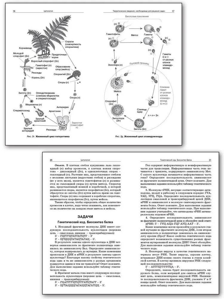 Collection of problems in cytology and genetics. 10-11 grades