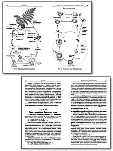 Collection of problems in cytology and genetics. 10-11 grades