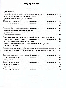 Russian language. 4th grade. Multi-level tasks