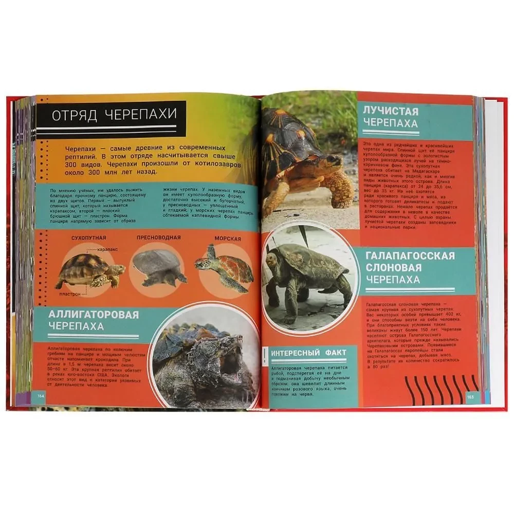 Animals of the Red Book. Gift encyclopedia