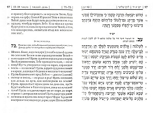 Book of Psalms Tehillim