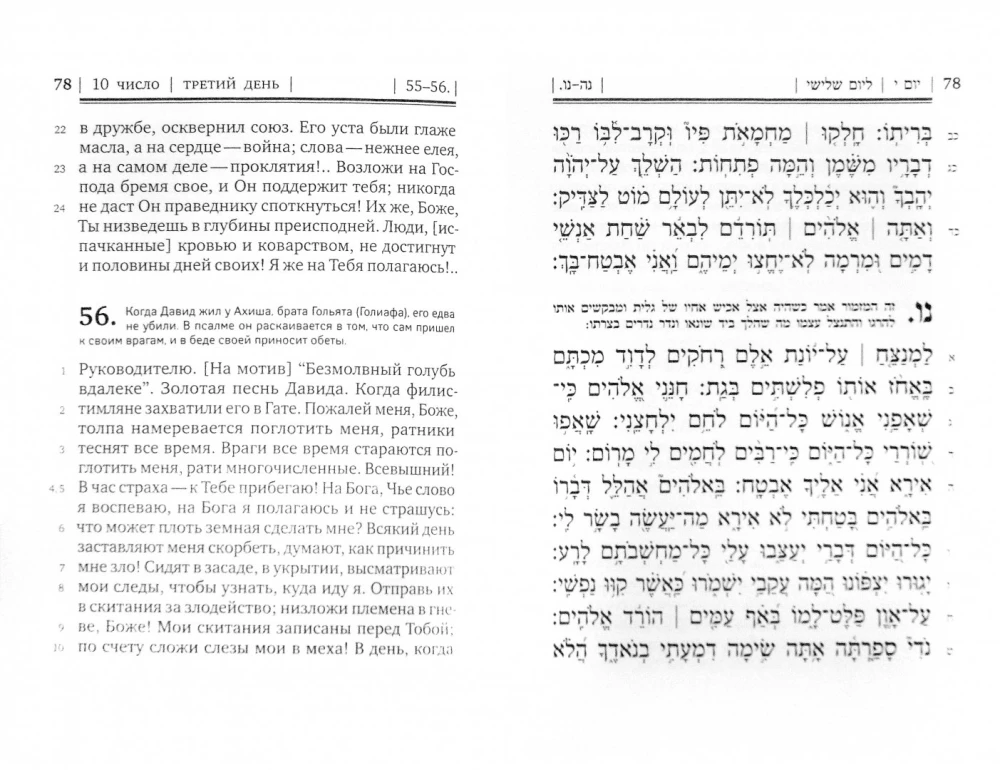 Book of Psalms Tehillim