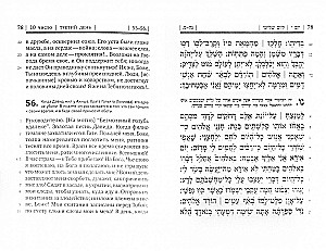 Book of Psalms Tehillim