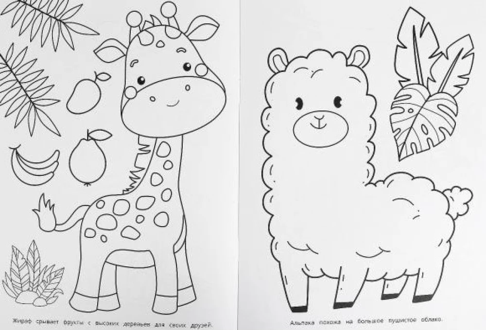 Funny animals. Coloring