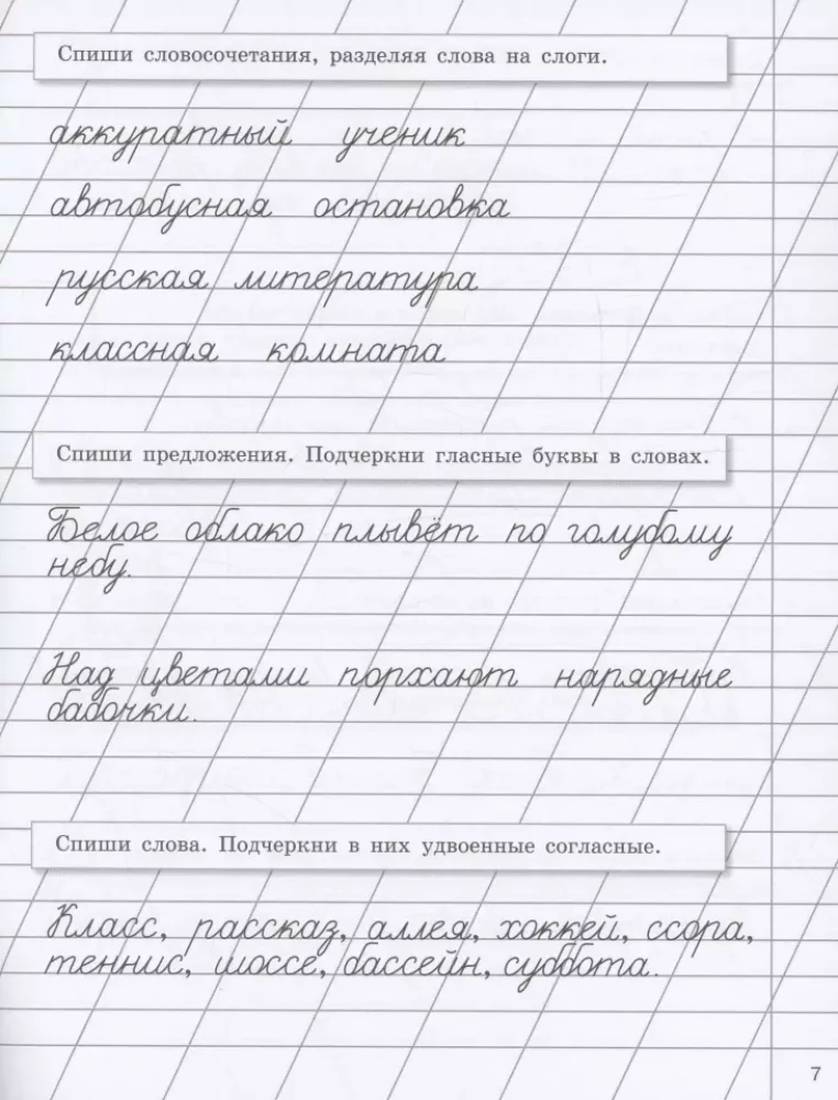 Прописи на каникулы с заданиями по орфографии. 2 класс