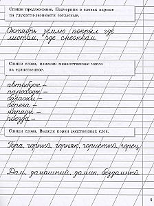 Прописи на каникулы с заданиями по орфографии. 2 класс