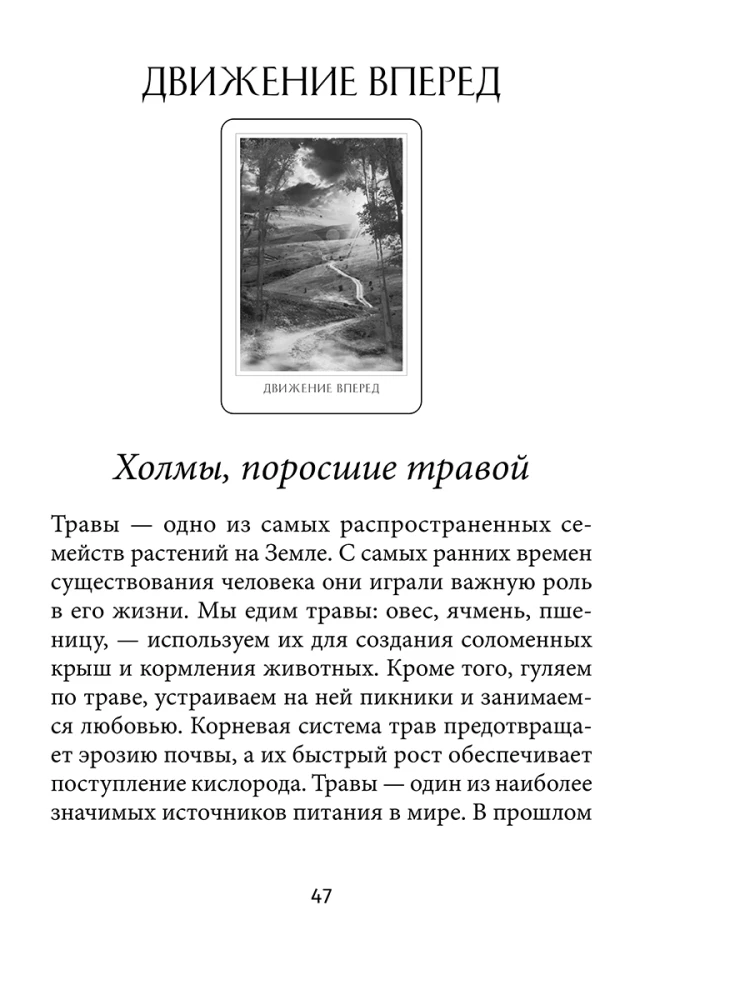 Оракул божественного предназначения (52 карты + инструкция)