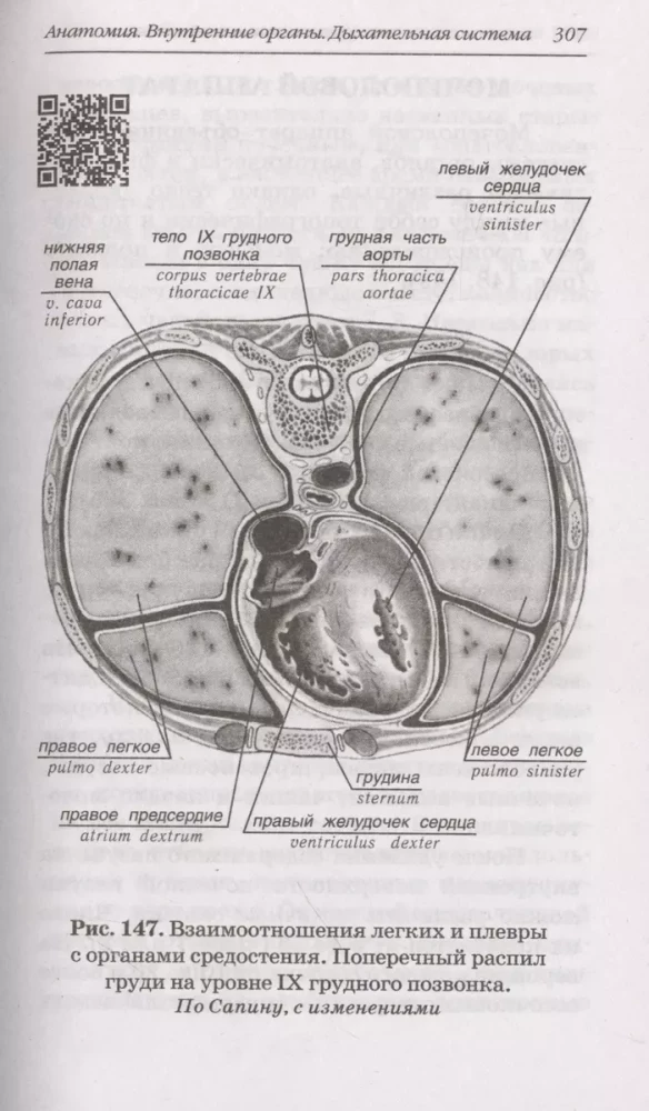 Анатомия человека: Русско-латинский атлас с QR-кодами