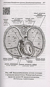 Анатомия человека: Русско-латинский атлас с QR-кодами