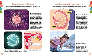 Как устроено тело человека