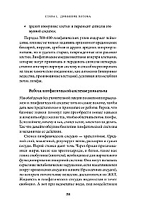 Лимфа и долголетие. Путь к укреплению иммунитета и предупреждению болезней